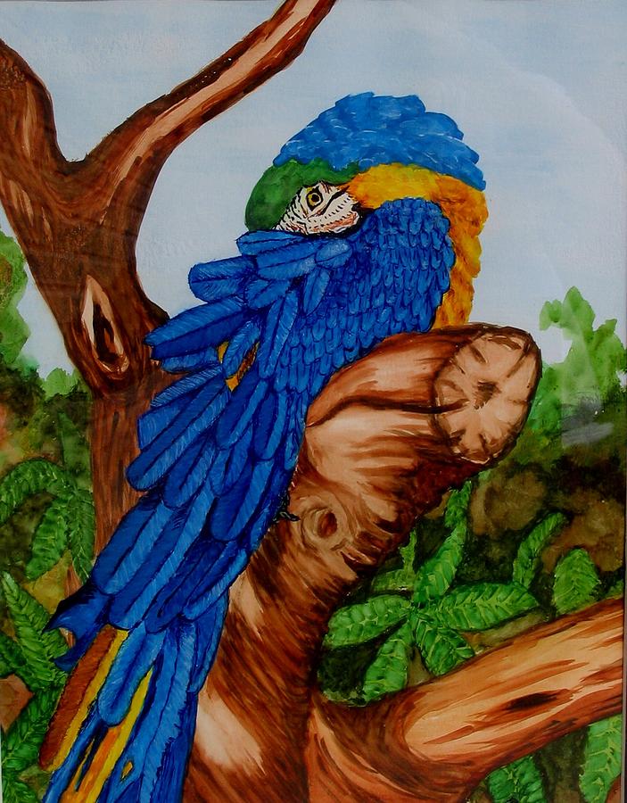 703x900 Blue Parrot Painting By Liz Borkhuis - Blue Parrot Painting