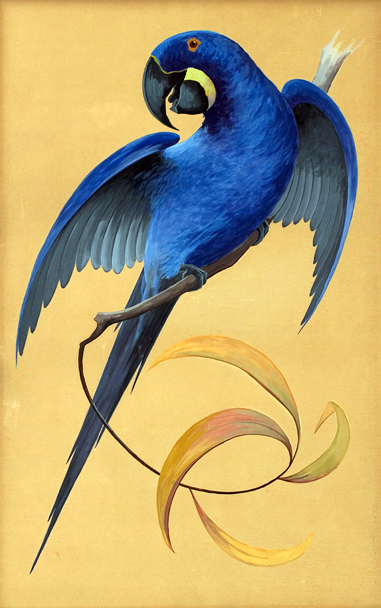 381x608 Bruno Ertz (1873 1956) American Gallery - Blue Parrot Painting