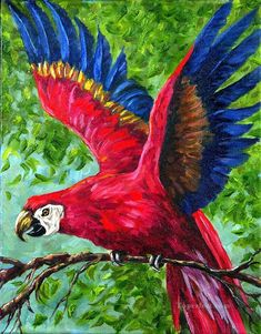 235x301 Cynthia Kulp Kuslar Bird, Beautiful Birds And Animal - Blue Parrot Painting