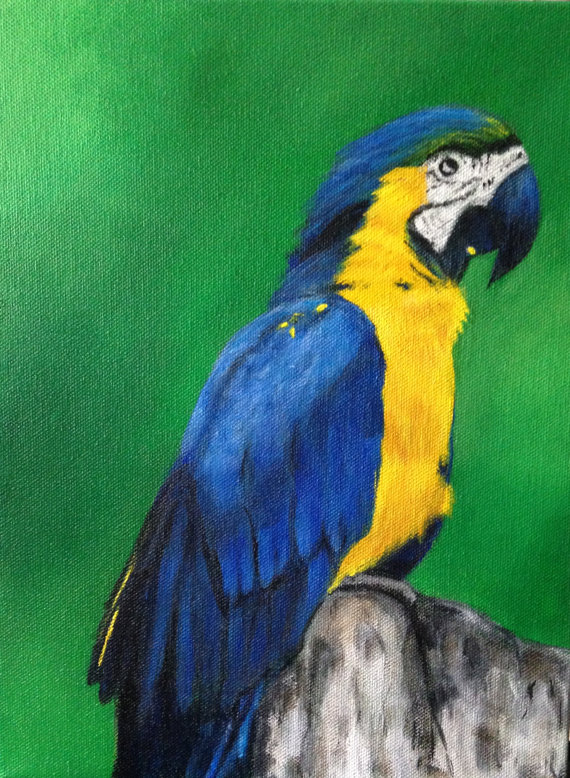 570x778 Original Acrylic Parrot Painting 9 X 12 Canvas Blues Green - Blue Parrot Painting