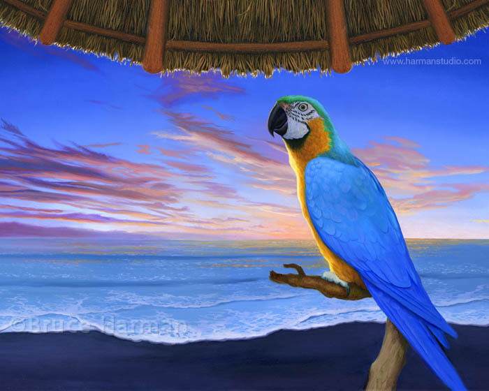 700x560 Parrot Hut Painting - Blue Parrot Painting