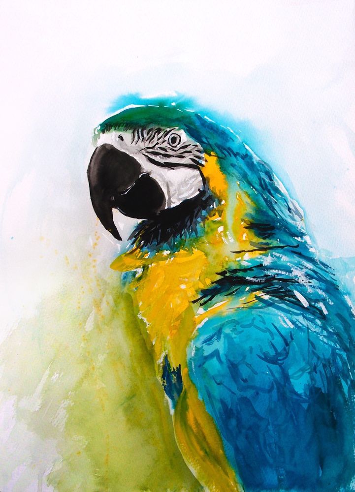 721x1000 Parrot Macaw Watercolour Print Of Original Painting Signed By - Blue Parrot Painting