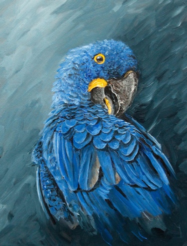 374x493 Parrot Paintings By Ian Griffiths - Blue Parrot Painting