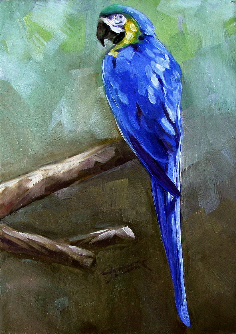 827x1167 Watercolor Blue Parrot Painting, A Moment Art - Blue Parrot Painting