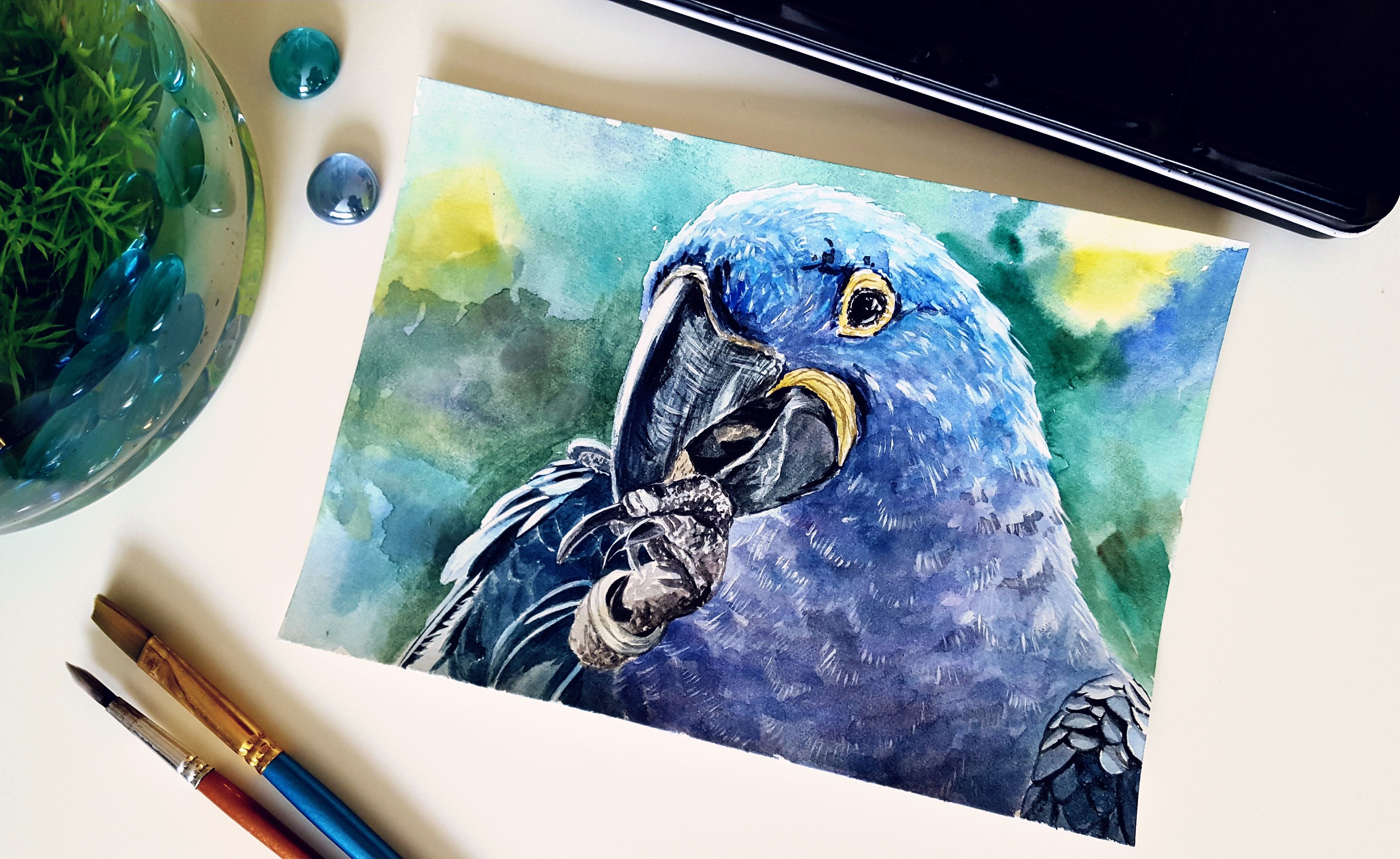 4332x2660 My Art - Blue Parrot Painting