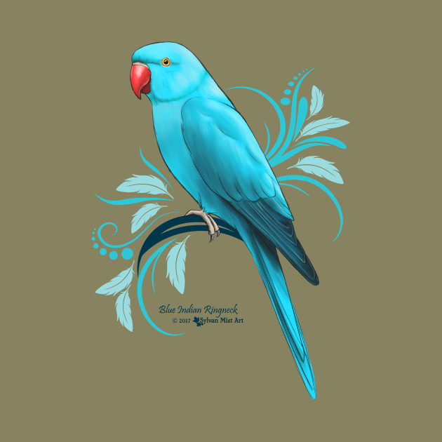 630x630 Blue Indian Ringneck Parrot - Blue Parrot Painting