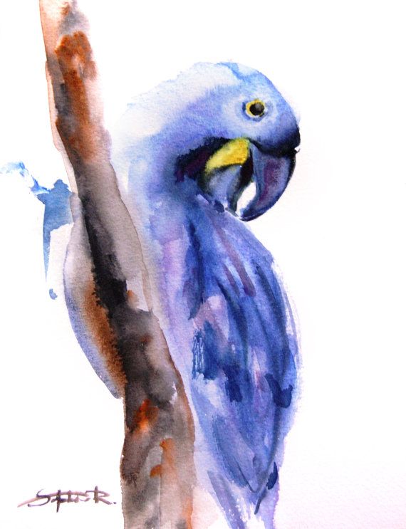 570x743 Blue Parrot Painting, Original Watercolor Painting, Bird - Blue Parrot Painting