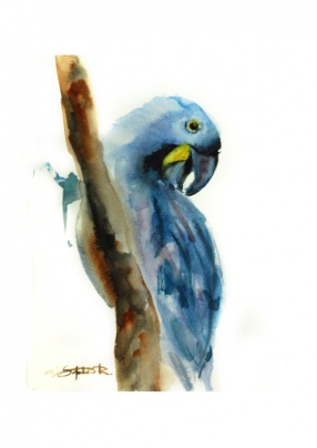 286x404 Blue Parrot Painting The Gallery Shop - Blue Parrot Painting