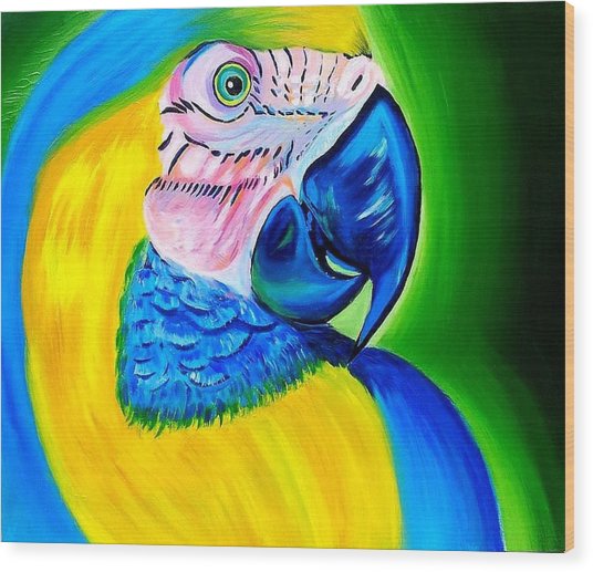 536x517 Blue Parrot Painting By Christine Jahn - Blue Parrot Painting