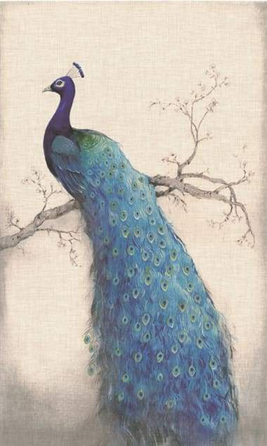 380x635 Alisa Diamond Paintings - Blue Peacock Painting