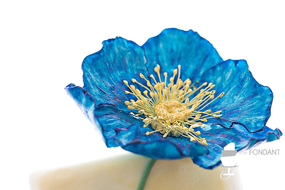 960x641 Blue Poppy Cake - Blue Poppies Painting