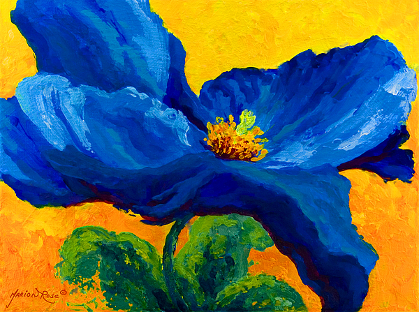 600x447 Blue Poppy Painting By Marion Rose - Blue Poppies Painting