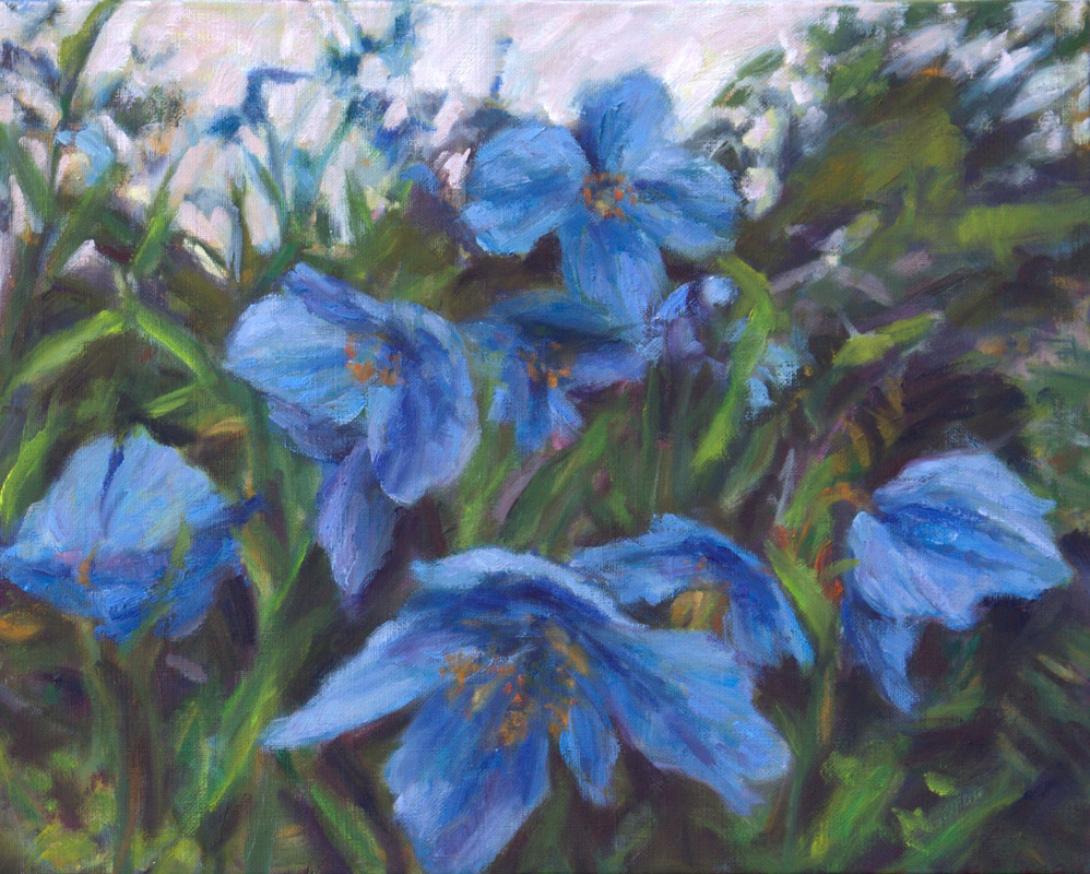 998x800 Himalayan Blue Poppies - Blue Poppies Painting