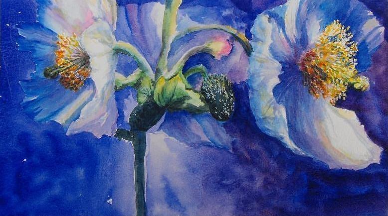 778x434 Blue Poppies Painting By Debra Bannister - Blue Poppies Painting