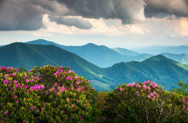 650x424 Stunning Blue Ridge Mountains Artwork For Sale On Fine Art Prints - Blue Ridge Mountains Painting