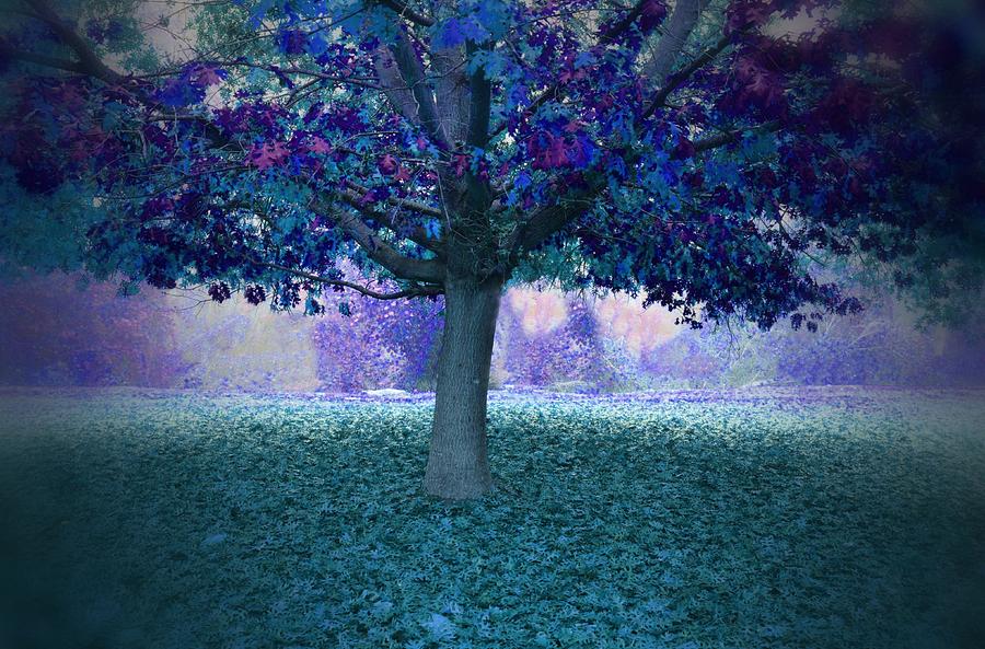 900x593 Blue Tree Monet Painting Background Photograph By Marilyn Maccrakin - Blue Tree Painting