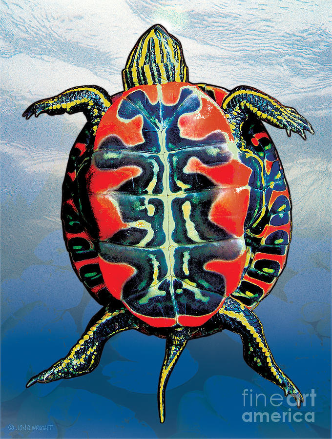 680x900 Painted Turtle Blue Painting By Jq Licensing - Blue Turtle Painting