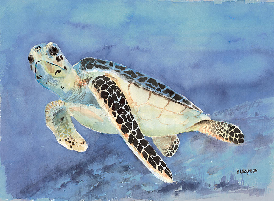900x662 Sea Creatures Paintings Fine Art America - Blue Turtle Painting