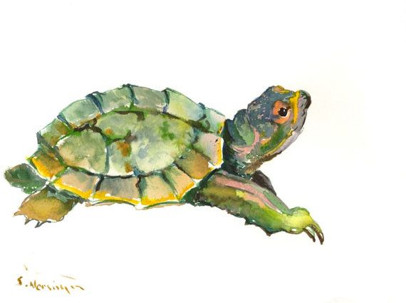 Blue Turtle Painting At Paintingvalley.com 