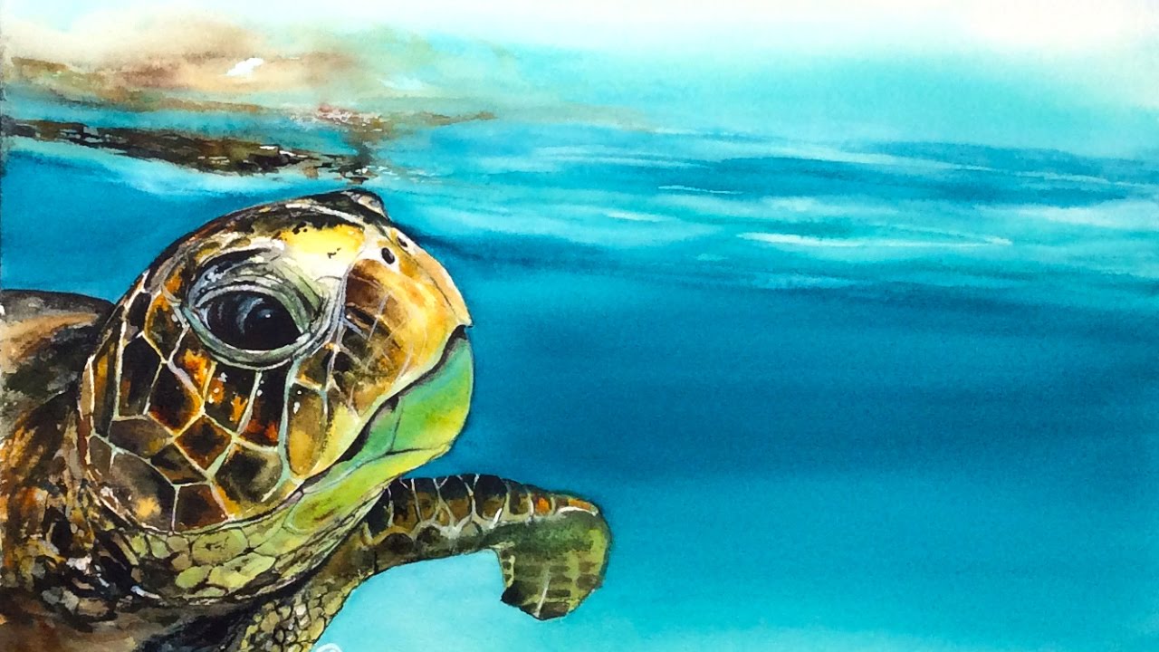 1280x720 Watercolor Turtle In A Water Painting Demonstration - Blue Turtle Painting