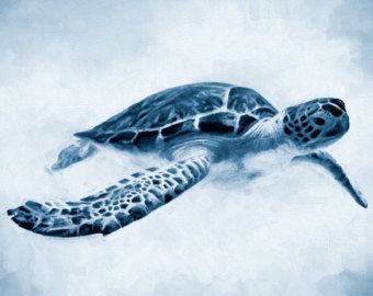 Blue Turtle Painting at PaintingValley.com | Explore collection of Blue ...