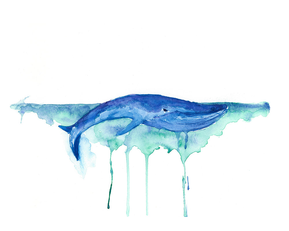 1000x800 Blue Whale Watercolor Painting By Enviousv - Blue Whale Painting