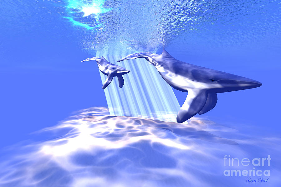 900x600 Blue Whales Painting By Corey Ford - Blue Whale Painting
