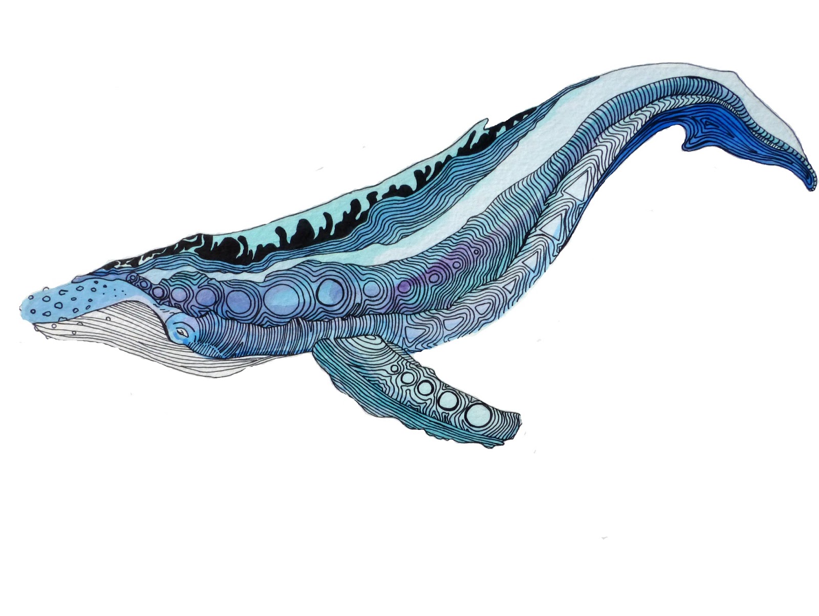 1600x1205 Whale Painting In High Demand My Art Rescues Me - Blue Whale Painting