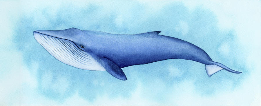900x366 Blue Whale Painting By Zapista - Blue Whale Painting