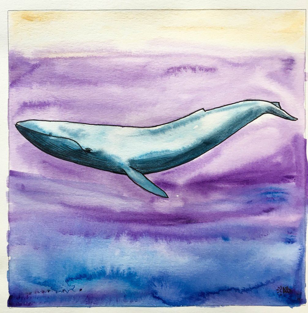 1006x1024 Blue Whale Study Whale Decor, Whale Painting And Whale Illustration - Blue Whale Painting