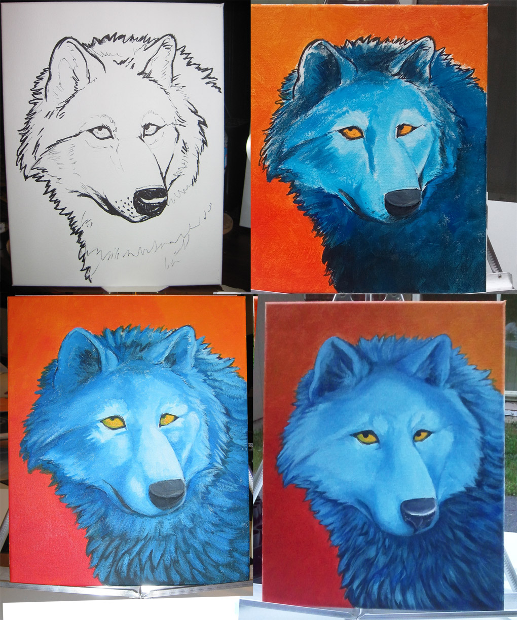 1020x1224 Blue Wolf Painting Step By Step By Mirandaleigh - Blue Wolf Painting