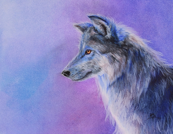 600x465 Blue Wolf Painting By Maria Hathaway Spencer - Blue Wolf Painting