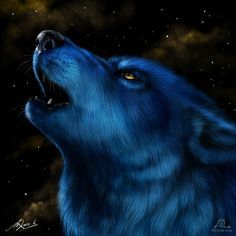 236x236 Blue Wolf Painting - Blue Wolf Painting