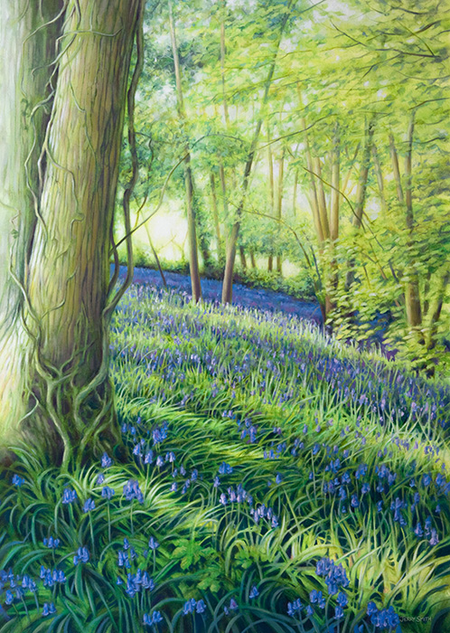 498x700 Bluebell Wood Near Lycroft Farm - Bluebell Painting