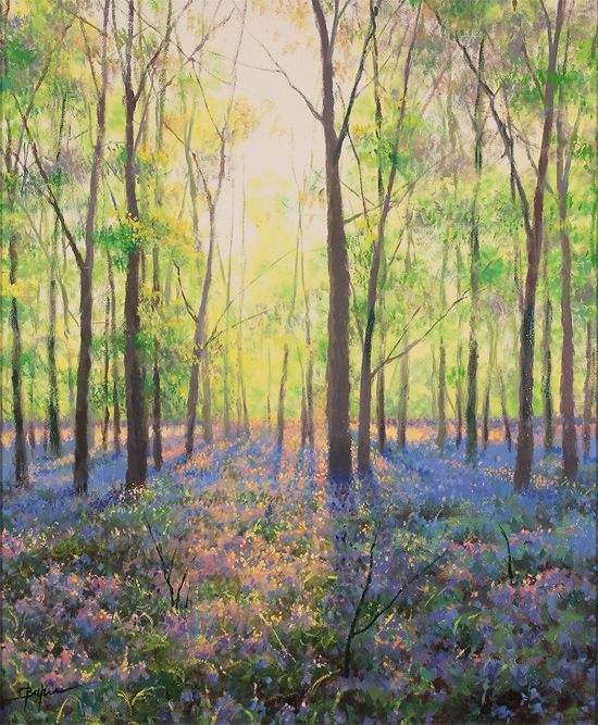 550x667 Alan Barker, Original Oil Painting On Canvas, The Bluebell Wood - Bluebell Painting