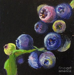298x300 Blueberry Paintings - Blueberry Painting