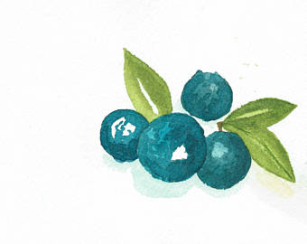 340x270 Blueberry Painting Etsy - Blueberry Painting