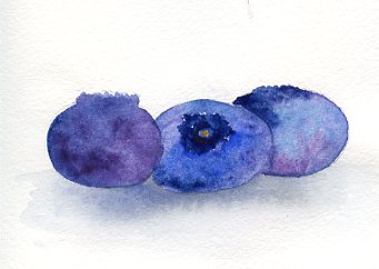 341x242 Painting Blueberries - Blueberry Painting