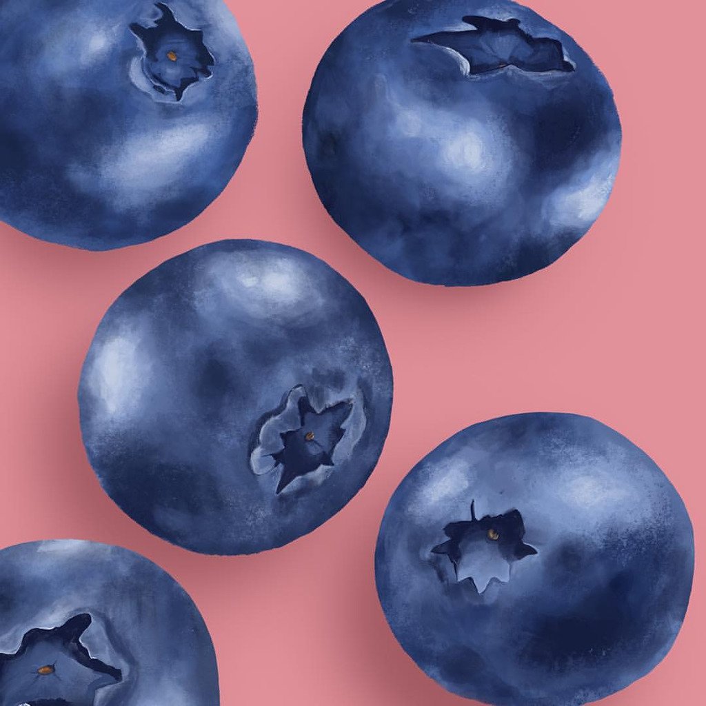 Blueberry Painting At Explore Collection Of