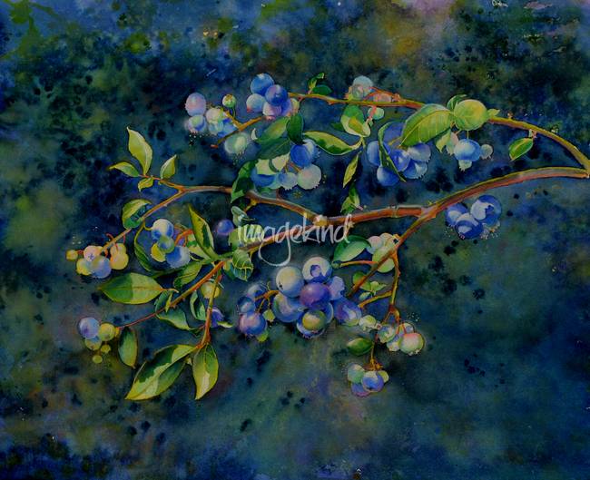 650x529 Stunning Blueberry Field Painting Reproductions For Sale On Fine - Blueberry Painting