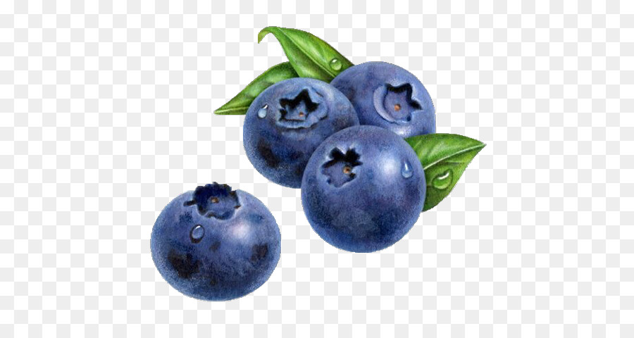 900x480 Blueberry Drawing Watercolor Painting Muffin - Blueberry Painting