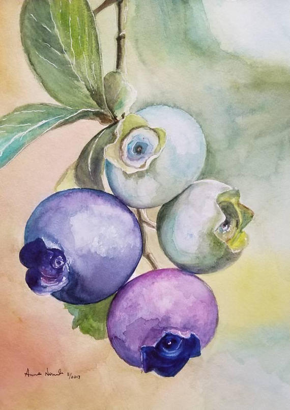 570x806 Blueberry Original Watercolor Painting Fruit Painting - Blueberry Painting