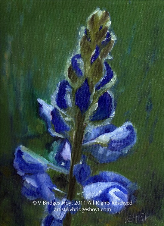 545x750 Texas Bluebonnet - Bluebonnet Oil Painting