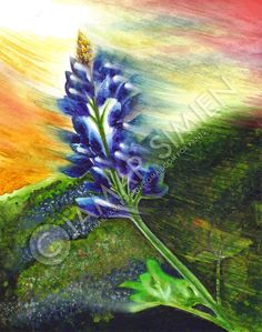 236x299 Texas Bluebonnets Art Texas Bluebonnets, Texas - Bluebonnet Painting