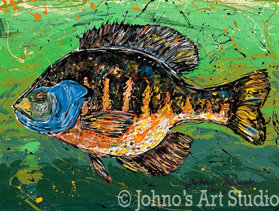 Bluegill Painting at PaintingValley.com | Explore collection of ...