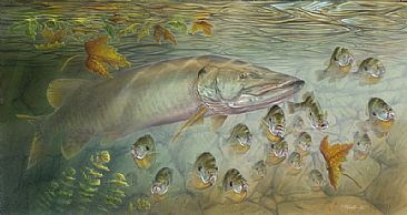 366x194 Muskellunge - Bluegill Painting