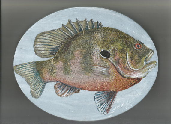 570x414 Big Bluegill Original Acrylic Painting Fish Painting Fish - Bluegill Painting