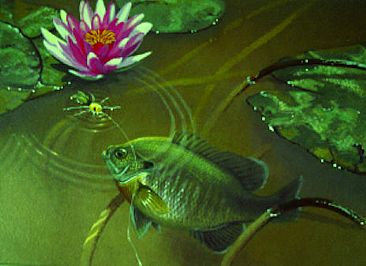 366x266 Bluegill - Bluegill Painting