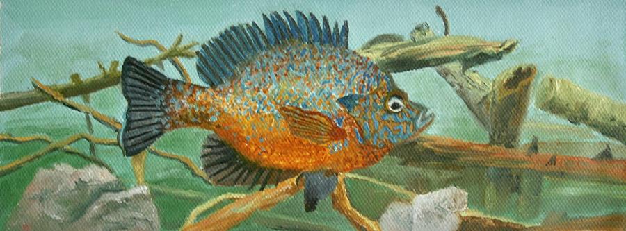 900x333 Bluegill Painting By Becky Christenson - Bluegill Painting