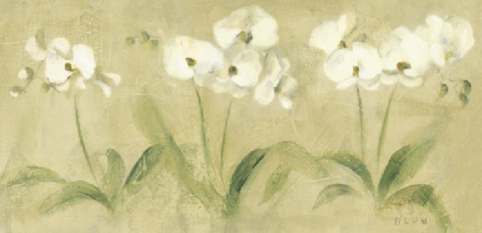 700x339 Cheri Blum Row Of Orchids Off Artexpress Cheri Blum Art - Blum Painting